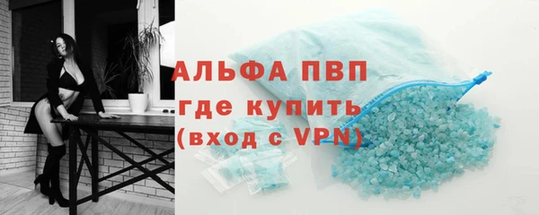 крисы Белокуриха