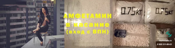 крисы Белокуриха