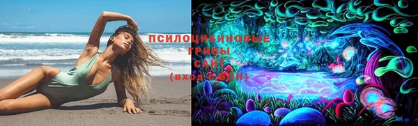 крисы Белокуриха