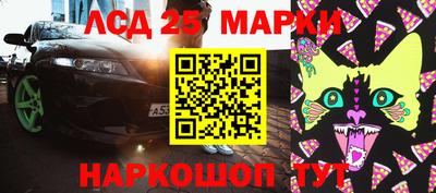 гидропоника Новозыбков