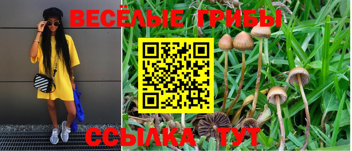 Галлюциногенные грибы Psilocybine cubensis  Вход с VPN  Валуйки 